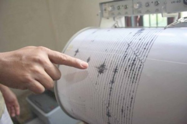 Cutremur de 4,6 grade pe scara Richter în Vrancea!
